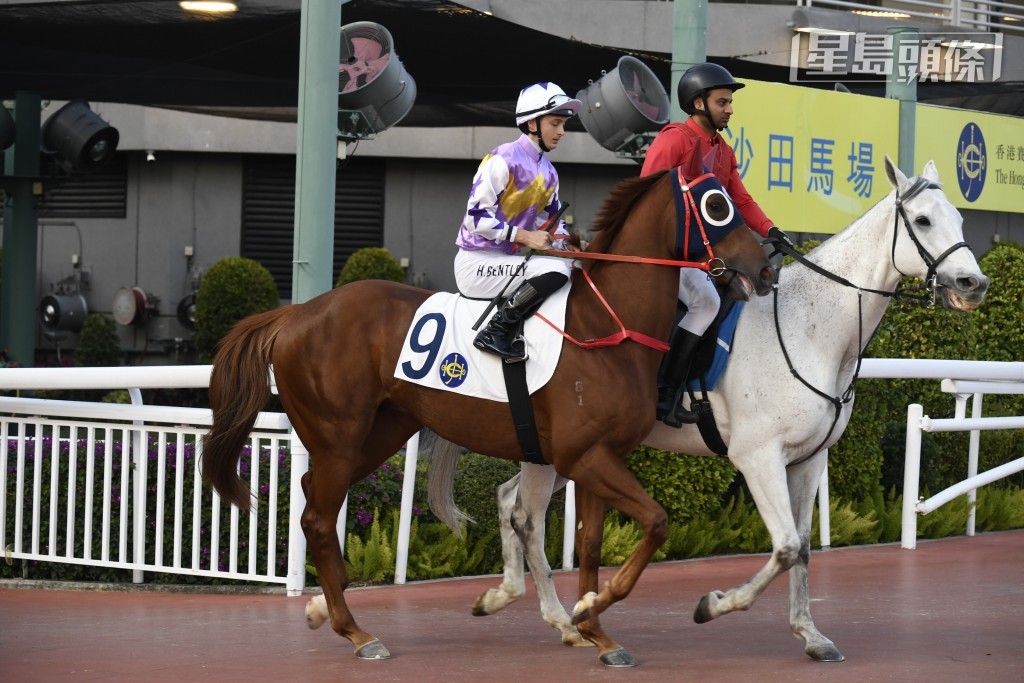 「紫荊盛勢」(圖) 被取消於1月11日在沙田賽事第十一場赤柱峽讓賽（1400米）第二名的資格。