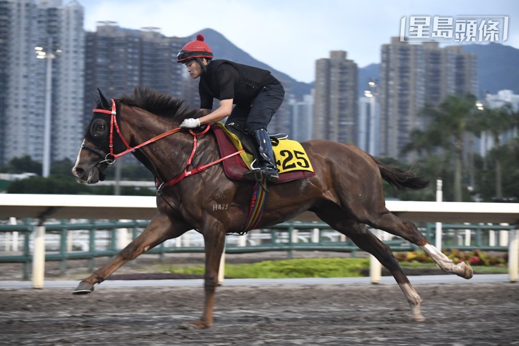 當「勇晉當銳」出跳時候，沈集成收起話題，繼而舉鏡全神貫注督操，之後並第一時間趕返馬房等馬返來，緊張之情路人皆見。