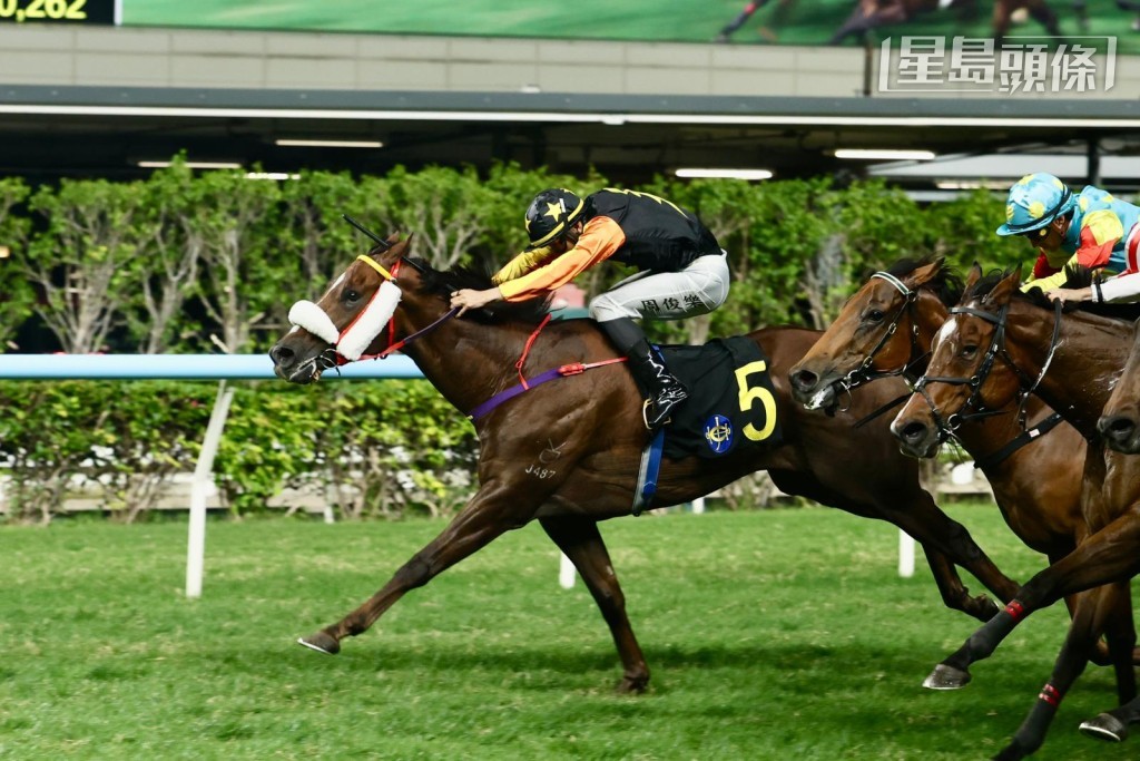 周俊乐当晚将为「腾龙四海」、「喵喵怪」、「包装旋风」等驹主辔,其中巫厩的「喵喵怪」(图) 上场配周俊乐赢马,今场人马再战,力争连捷。 周俊乐当晚将为「腾龙四海」、「喵喵怪」、「包装旋风」等驹主辔,其中巫厩的「喵喵怪」(图) 上场配周俊乐赢马,今场人马再战,力争连捷。