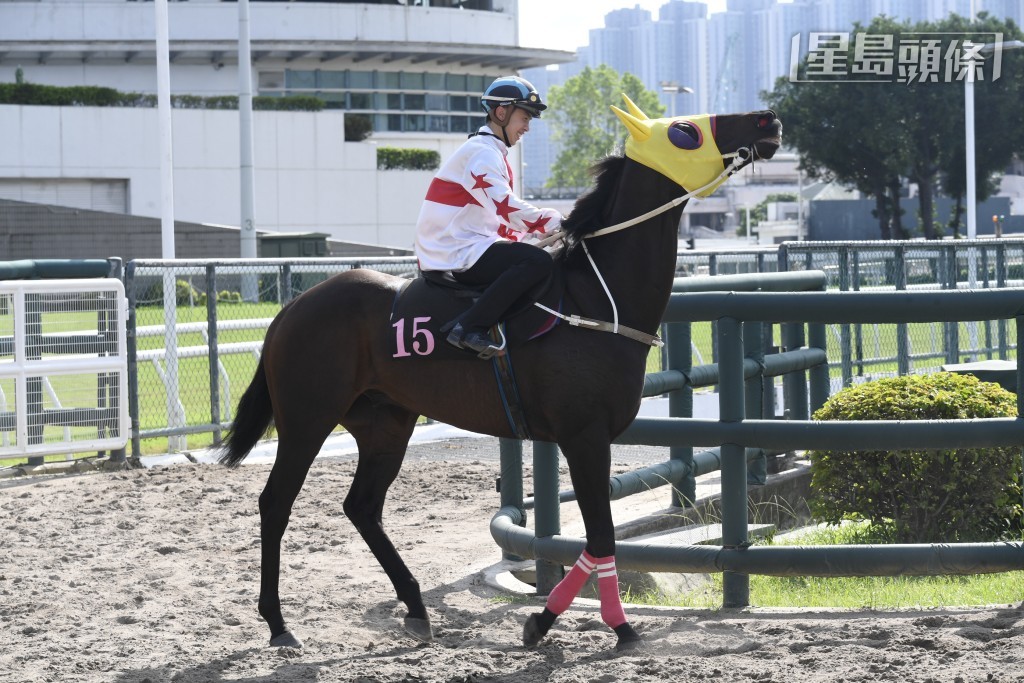 今戰「堅闖」(圖) 由伍鵬志馬房來投首戰，成績如何？