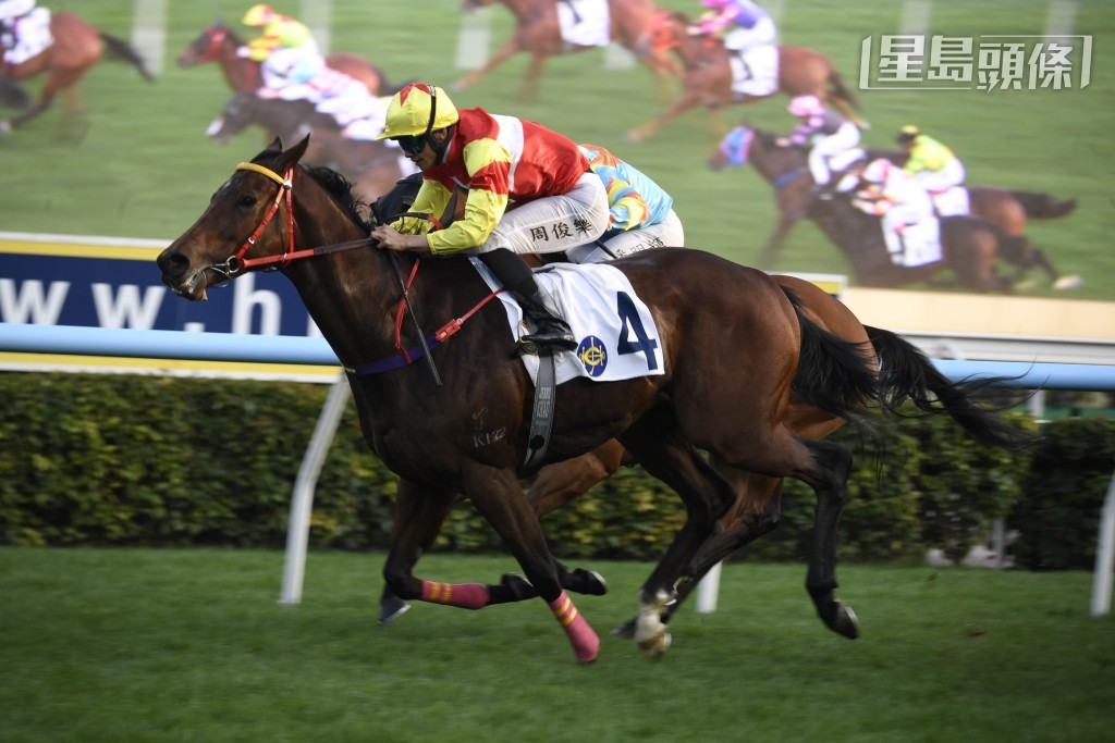 周末沙田賽事，潘子聰醫生養有的「一生好彩」（第十場）(圖) 及「俏眼光」（第九場），或有力包辦第九口孖寶。