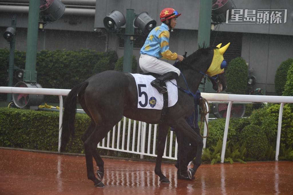 今戰何澤堯兩匹超磅馬「永勝金駒」(圖) 及「勇敢孖寶」，成績如何？