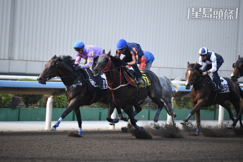 潘頓表示很高興可以重掌此匹丁廐鎮倉寶的帥權，希望馬兒在冠軍一哩賽中爭取好成績。