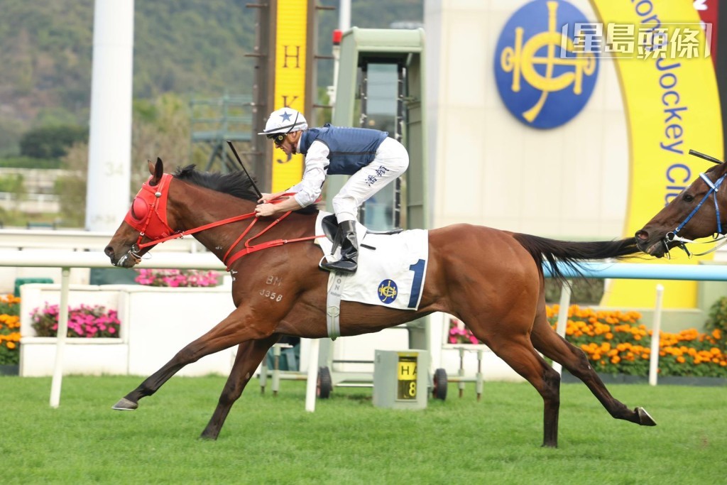 骑师潘顿今日苦战至第十场,才凭「举步生风」赢得头马。 骑师潘顿今日苦战至第十场,才凭「举步生风」赢得头马。