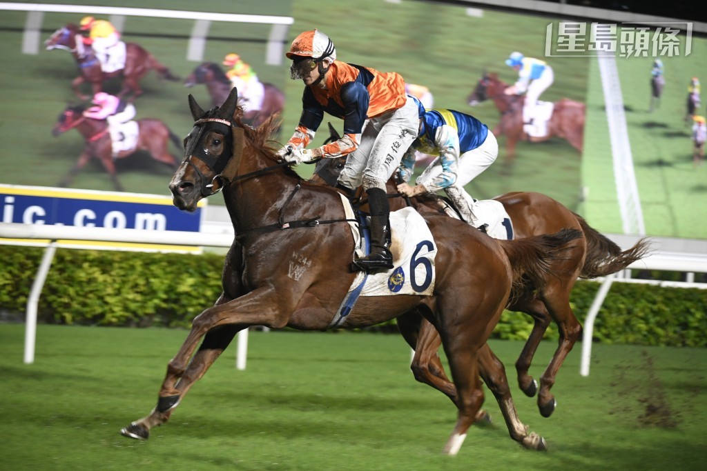 「巨富」子嗣「陽光勇士」(圖)及「大數據」上季亦取得三捷。