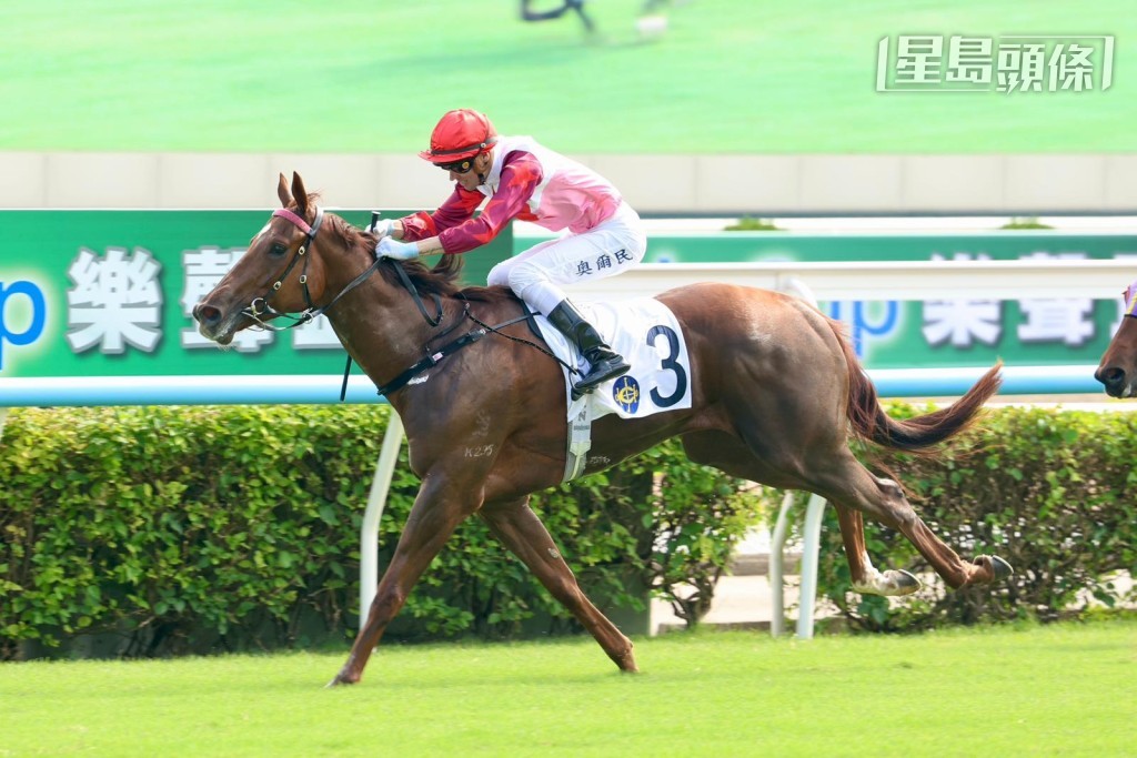 「大爱无疆」在港四战，头三场配奥尔民取一冠一亚一季，人马非常合拍。