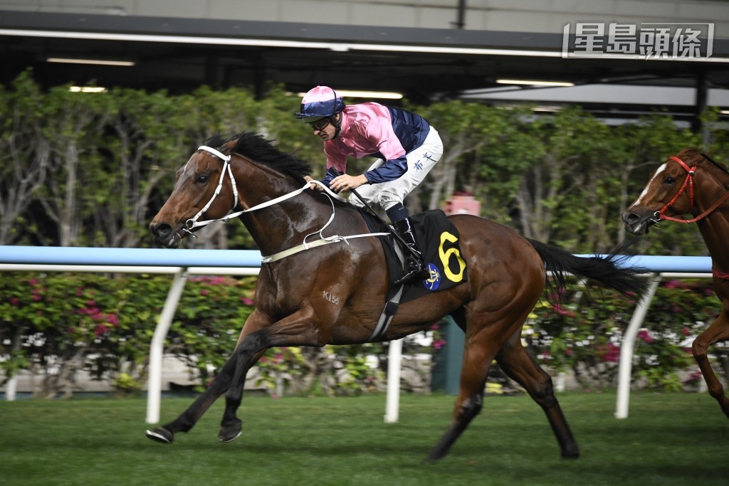 本周三快活谷夜赛，「爆出美丽」出争第六场四班一哩，如果交出理想成绩，对于郭家可以说是双喜临门，喜上加喜。