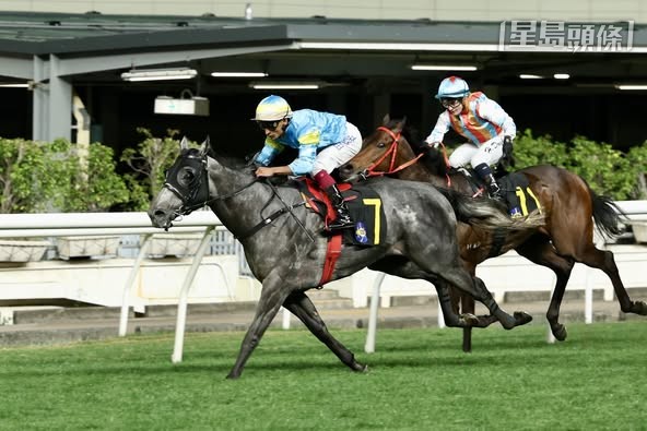 胡偉林名下的「領航財子」早前在谷草取勝。