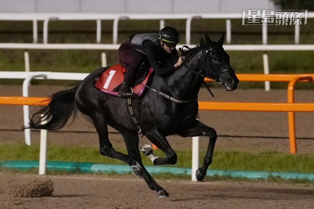 周俊樂在首爾馬場策騎「禪勝輝煌」出操。 周俊樂在首爾馬場策騎「禪勝輝煌」出操。
