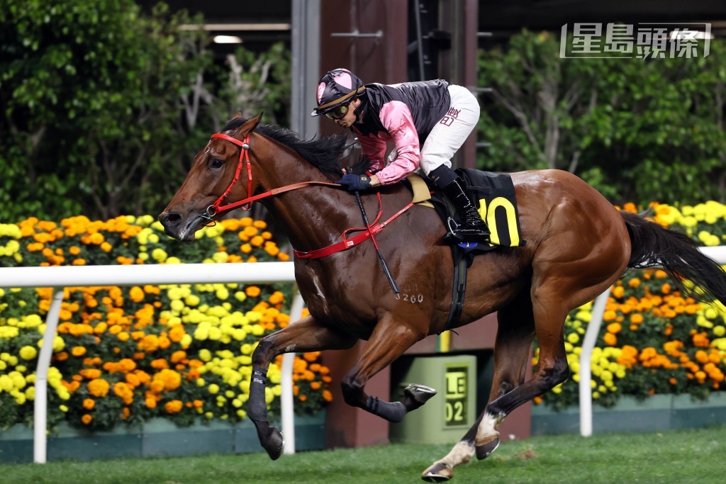 巴度將會續策「一起美麗」角逐寶馬香港打吡大賽。