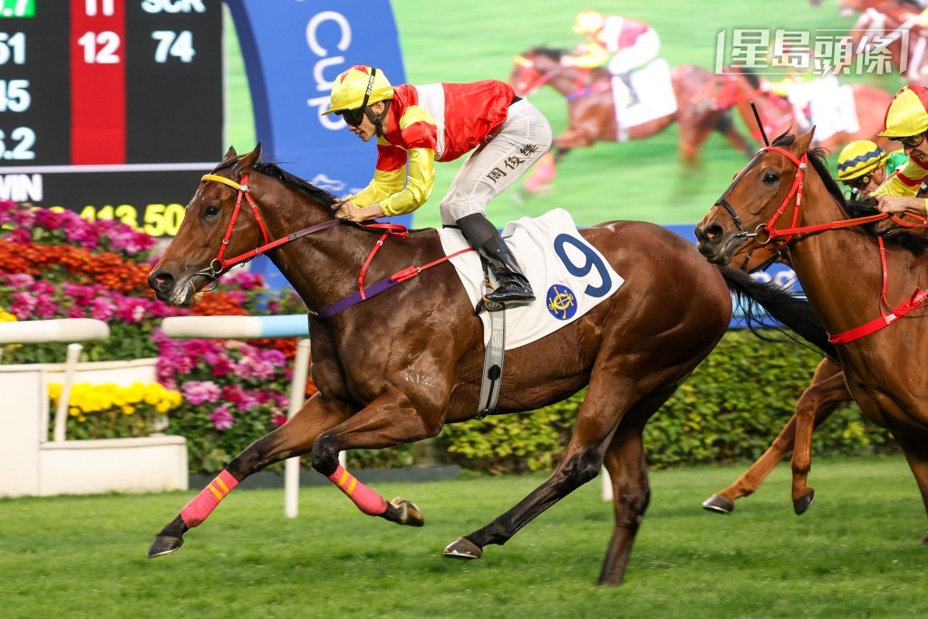 「會當凌」將力爭五連勝。