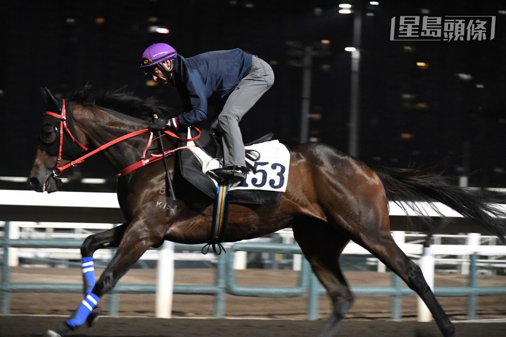 潘頓再一次摸到實「南區之星」，也是其首匹出試馬，騎者更換了紫色新帽笠操馬，相當搶鏡。