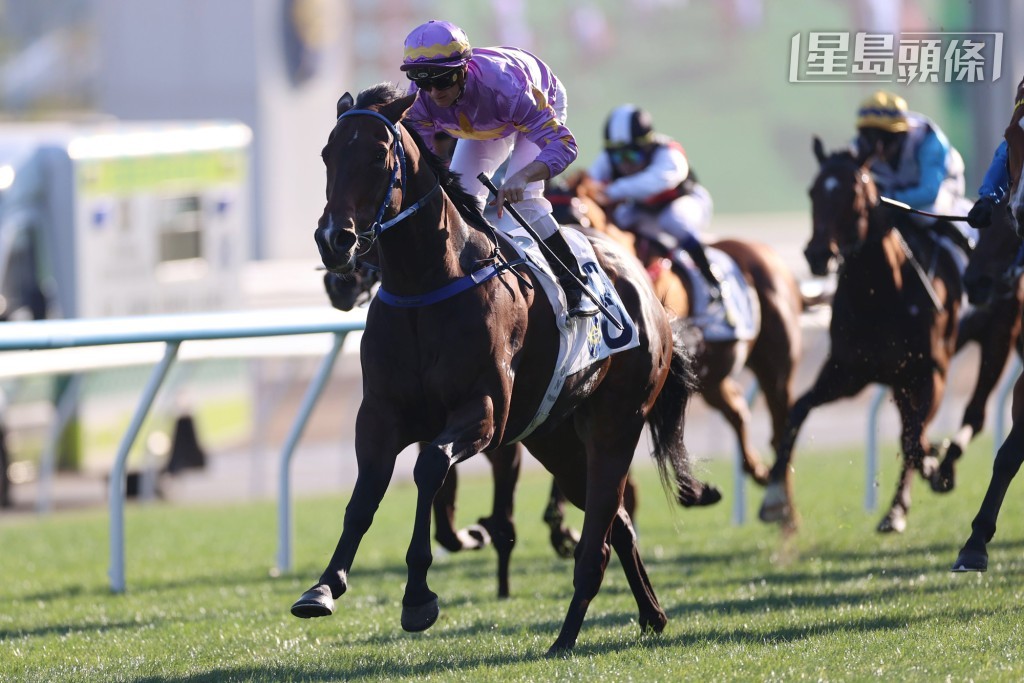 「小鳥天堂」季內四戰三捷，但出道至今從未角逐1600米賽事。