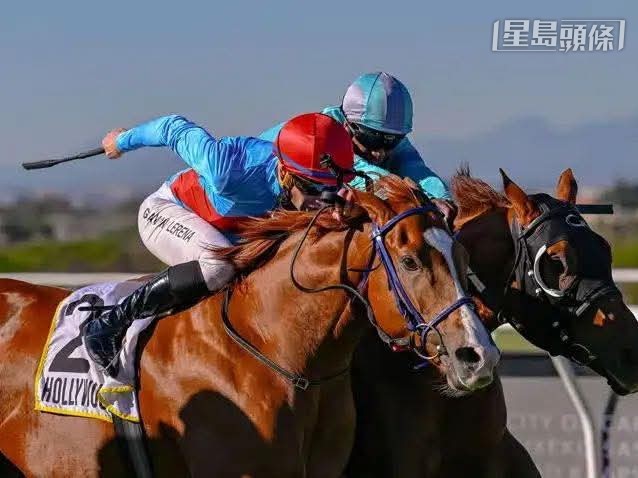 南非傳媒報道，去年於當地兩勝三級賽的「加利斯」(外) ，已經售予香港，並將交由韋達訓練。照片來源：Chase Liebenberg Design & Photography