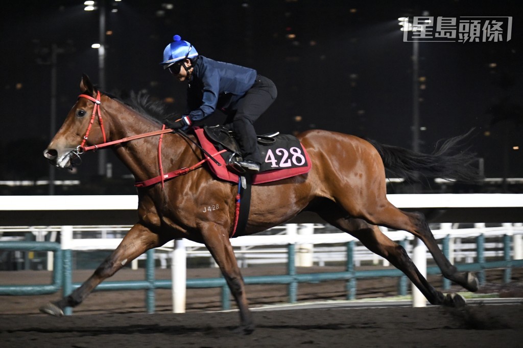 「綫路英雄」輕鬆完成步順爽勁，馬身更壯毛色潤澤，火力持續增強，進度相當理想。