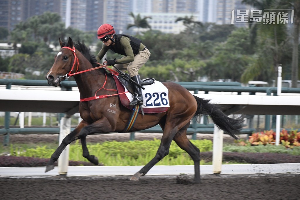 現時馬漢傑在港養有「龍文鞭影」(圖)（舊馬名重用）和「順善寶」。