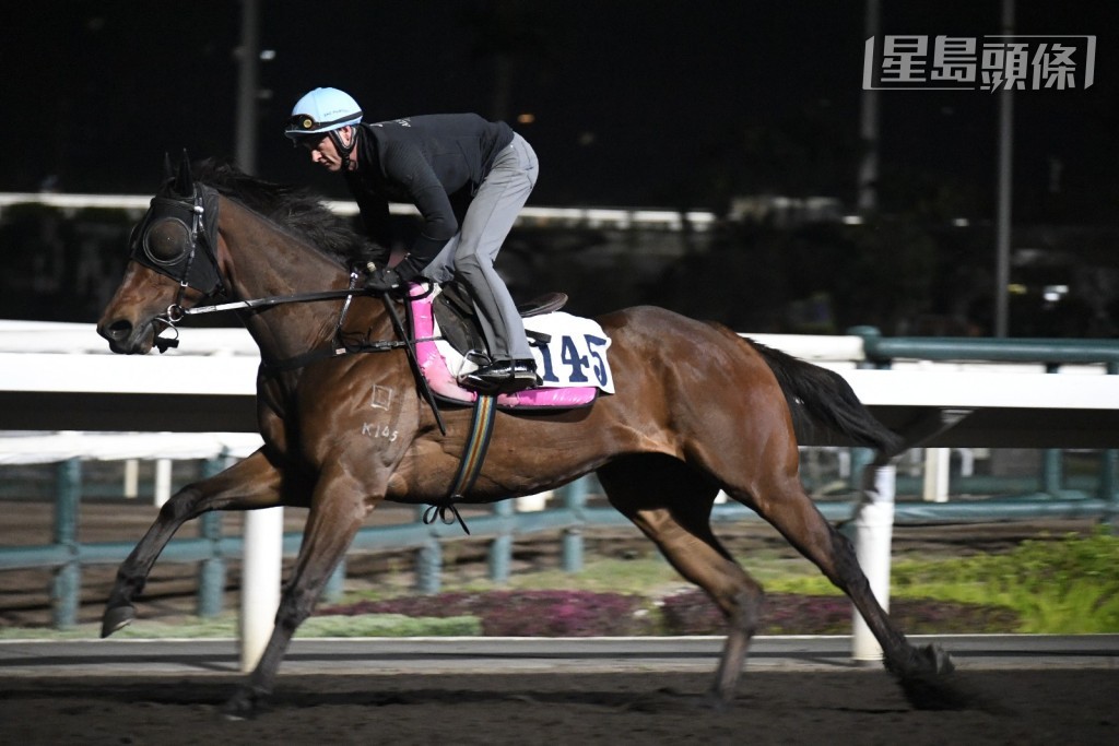今早沙田晨課,呂健威緊張兩駒,當潘頓為「勁進駒」和「彩虹七色」(圖) 時,威哥在烽火台緊張吼實。 今早沙田晨課,呂健威緊張兩駒,當潘頓為「勁進駒」和「彩虹七色」(圖) 時,威哥在烽火台緊張吼實。