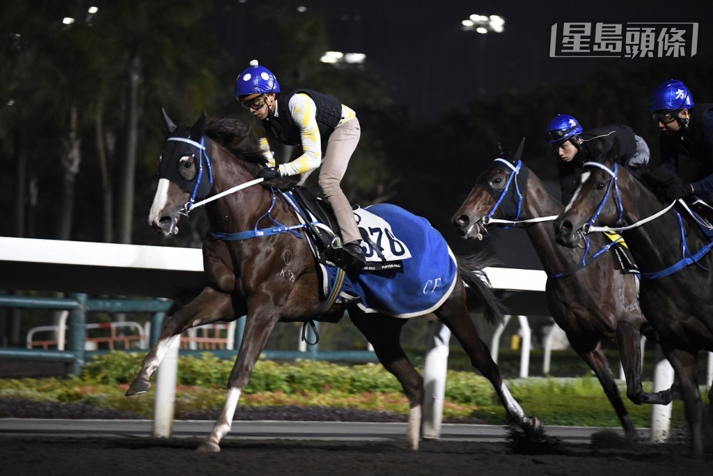 梁孔德和太太一起養有的「騰達勇士」將周日在港初出跑第二場四班千二米。