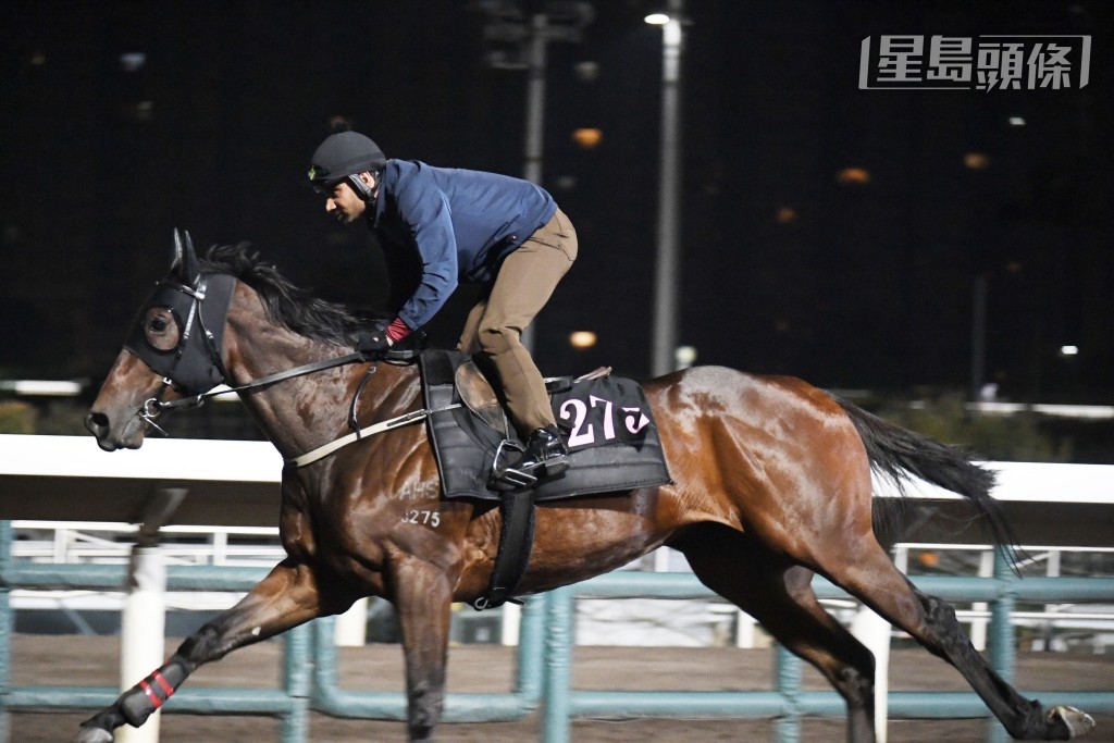「鑽石星空」三月初賽後，至九月初期間，不是停課便是游水代課，今戰賽前試了一課大閘便上陣，其復出成績如何？
