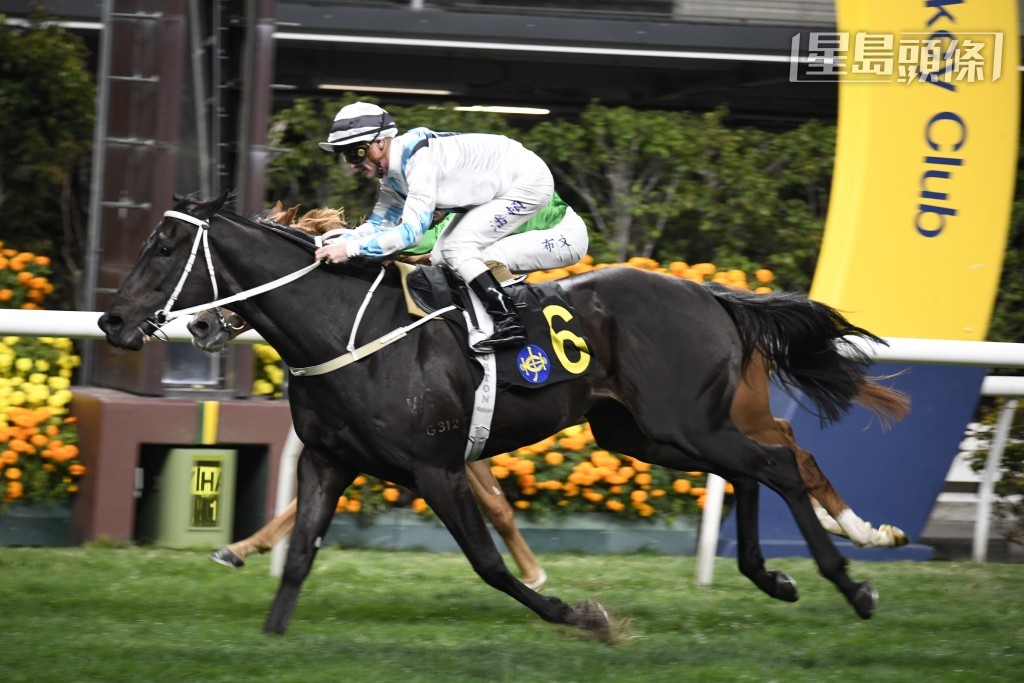 「架势奇爸」上季于潘顿胯下胜出五班千八米赛事，今战故剑重逢，能否再捷？