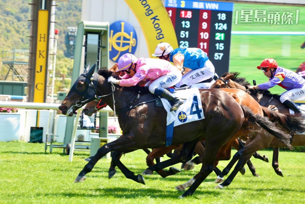 呂健威近期手風甚順,剛周日沙田賽事以「龍之悅」(圖) 及「興馳千里」起孖。 呂健威近期手風甚順,剛周日沙田賽事以「龍之悅」(圖) 及「興馳千里」起孖。