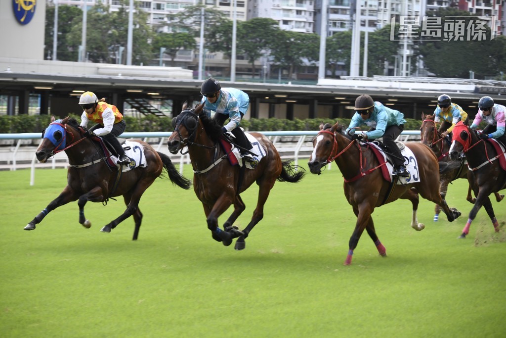 「非惟僥倖」(中) 周日將是姜炳輝中標後初出，續由姚本輝訓練，且看馬兒能否為新主人建功。