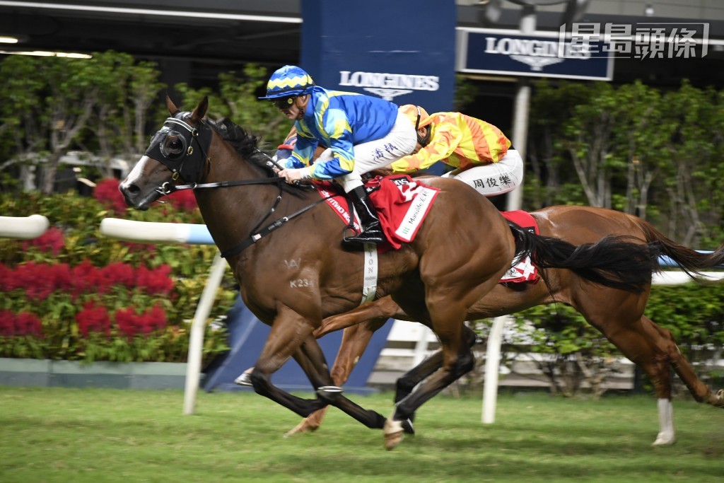  潘頓下周三的坐騎除了「官金騏」外，還有「天星」(圖)、「超勝無敵」、「奮鬥心」、「凝妙星」及「快樂老撾」。