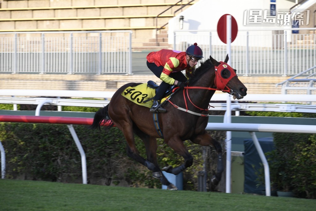 周三沙田全泥宴，出爭第二場五班一哩泥地的「時間寶」，今季轉入姚本輝馬房後曾經跑得第二名，可惜暫仍與頭馬無緣。