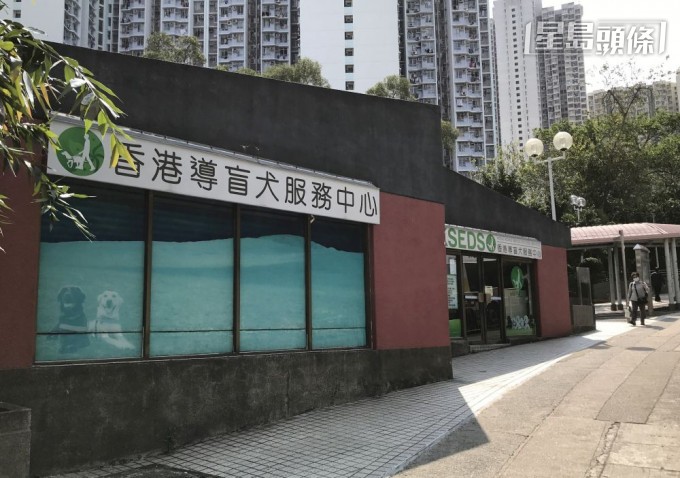 香港導盲犬服務中心旗下導盲犬Funny,在康城商場暈倒不治。資料圖片 香港導盲犬服務中心旗下導盲犬Funny,在康城商場暈倒不治。資料圖片