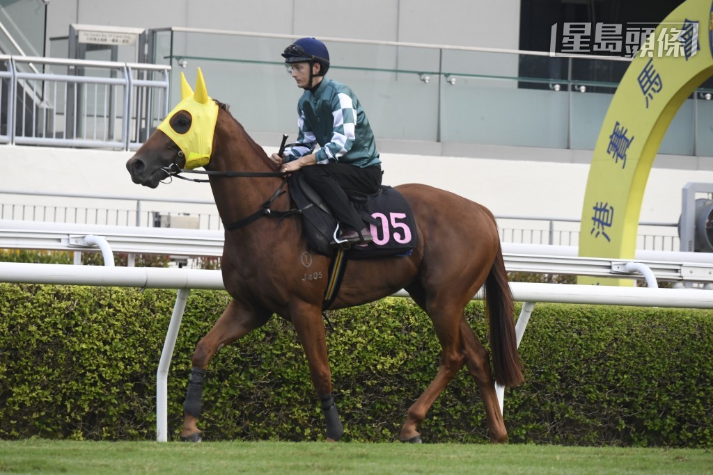 「展雄威」操足而臨，在港初次登場或即有驚喜演出。