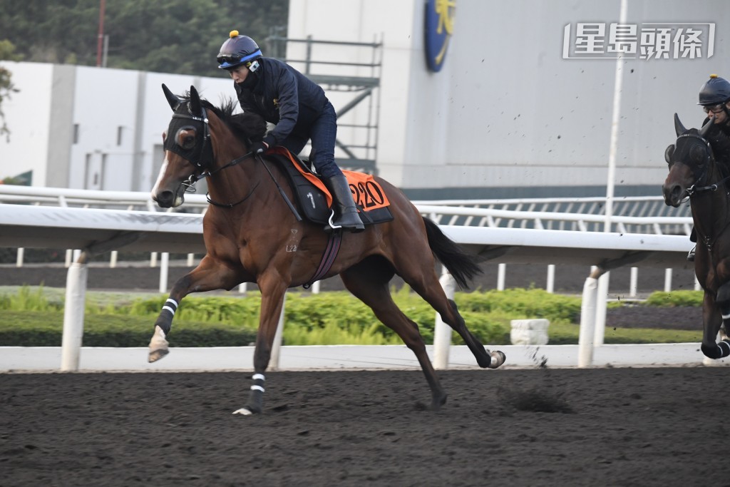 香港愛馬女士協會團體，當然希望「愛馬心」(圖) 一如同主馬「愛馬善」般也能交出好成績。