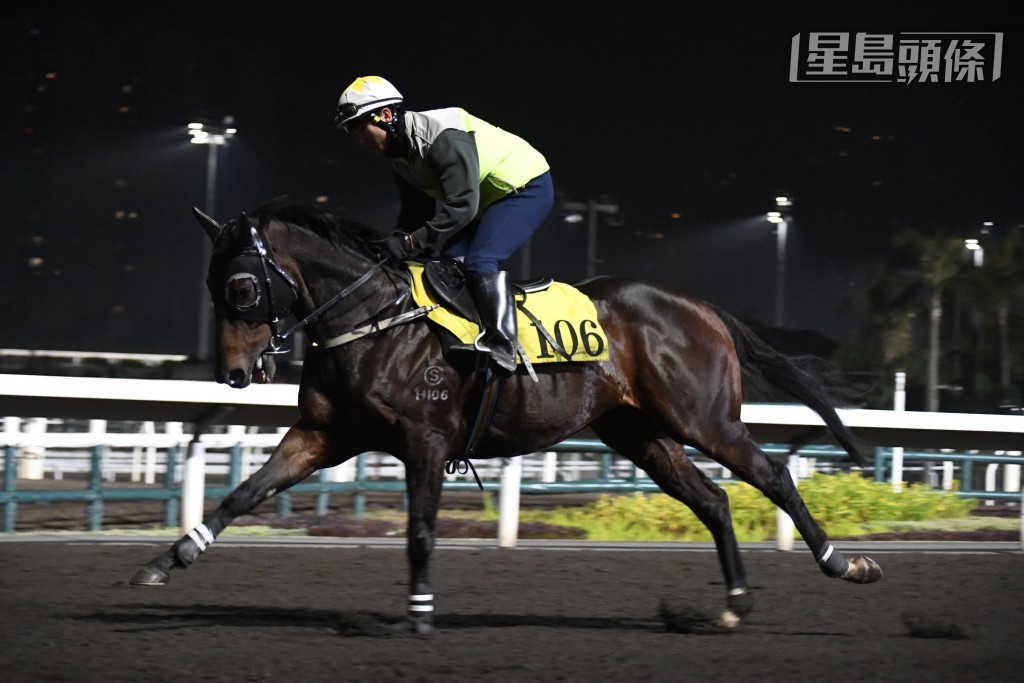 「金德義」助手跳兩段，按住慢試聚精會神，身色皆靚狀態對辦。