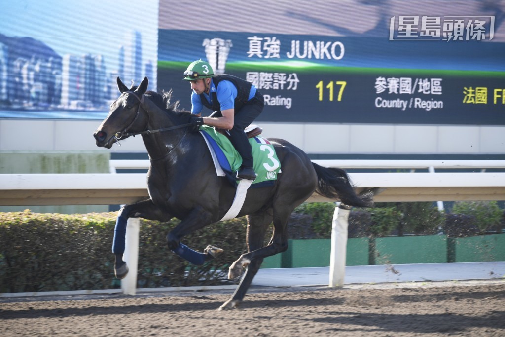 前香港瓶冠軍「真強」(圖) 亦在名單上，由於該駒亦曾在德國贏出一級賽拜仁大賽，亦有機會成行。