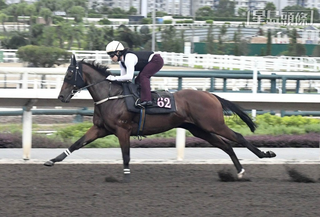 馬會昨天宣布「嘉應高昇」左後蹄瘀傷，令不少馬迷擔心，幸而馬王今天如常快操，走勢強勁。