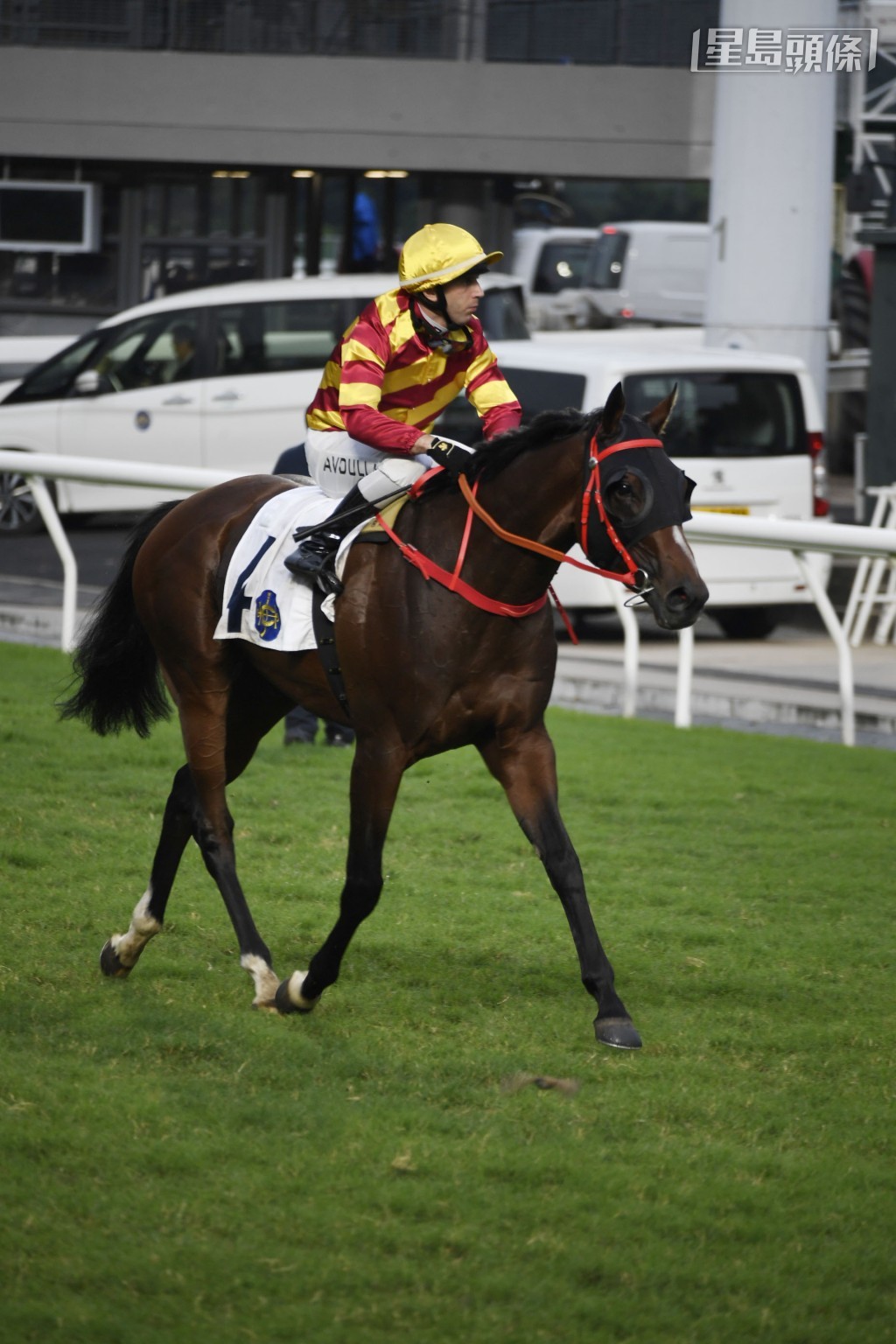 「安可」上场走势接近，跑得第四名。