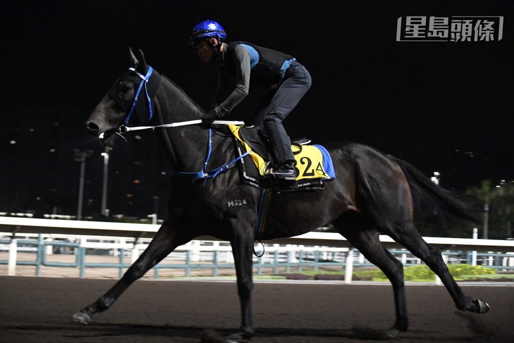 「大千气象」今场由刚赢一级赛的大旺的布文主辔，排三档有利，属机会分子。