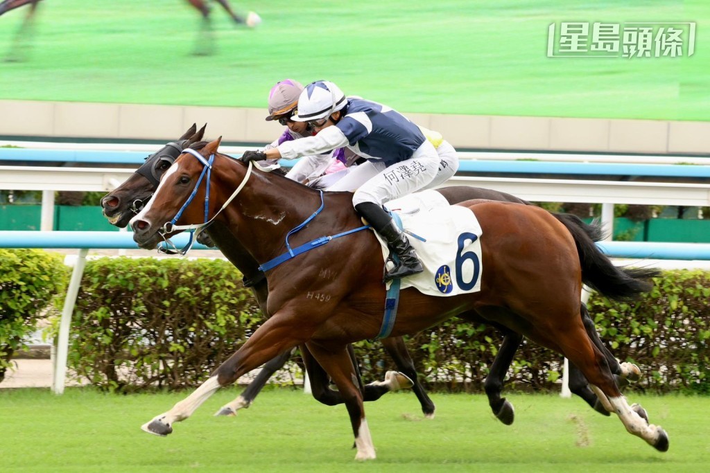 五匹坐騎中，第二場「星運少爵」(圖) 及第七場「開心旺財」，於千二米排一檔及三檔起步。