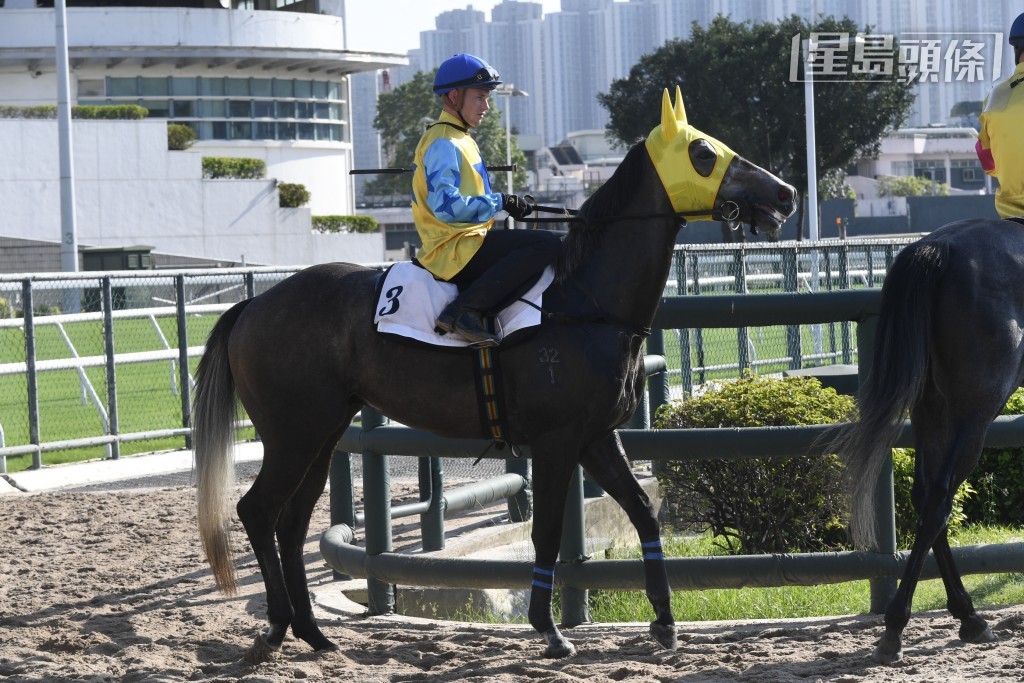  今期廖康銘依重霍宏聲、巴度及希威森出擊，霍宏聲則騎「決一劍」、「康昌之星」(圖) 及「超勁火力」。 