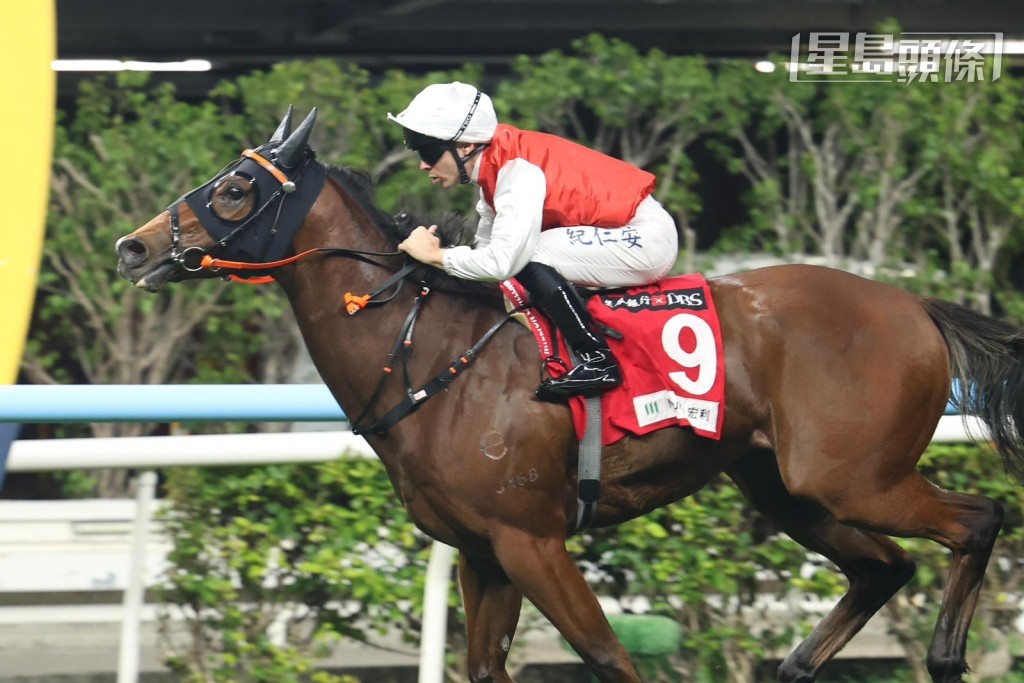  徐雨石十二月時先憑「銀亮濠俠」及「燭光晚餐」(圖) 同晚起孖。