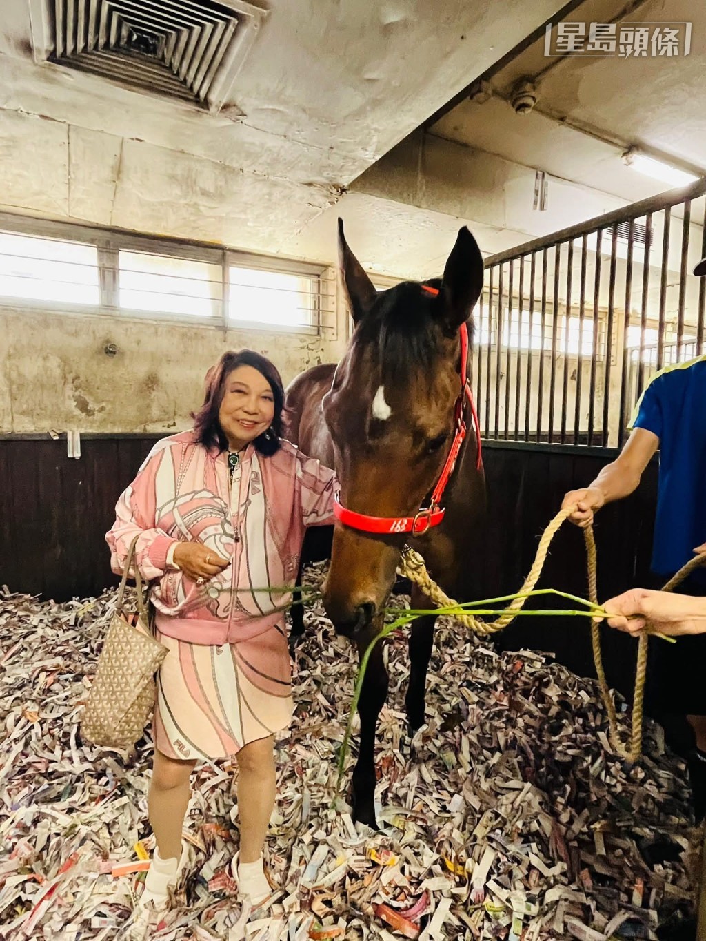 伍燕梅表示「万事胜利」性格很乖巧，希望马儿进度理想，早日报捷。