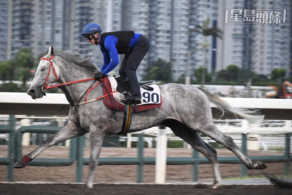 今次多匹沈廄馬之中，最要看好當然是「凱明神駒」。