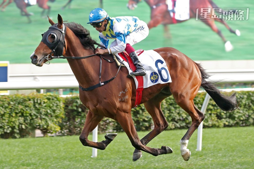 今屆獲選馬匹中，伍鵬志麾下的「錶之銀河」（103分）是評分最高的一駒。