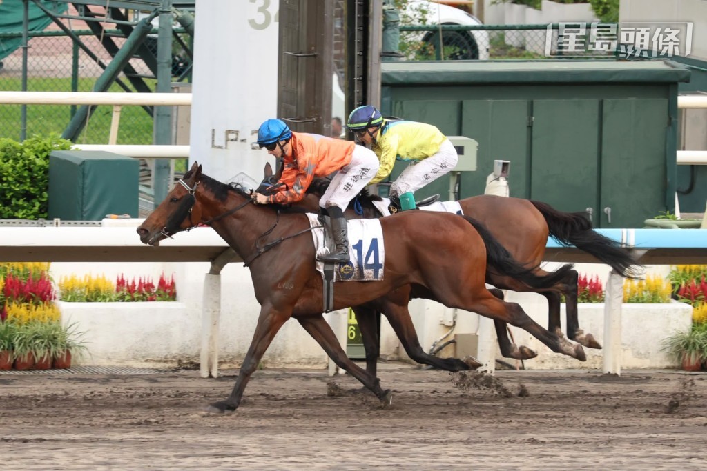 今日沙田第五場四班泥地千八米,希斯馬房岀馬三匹,「艾莉奧」成為次熱門,「孤風潛影」入閘前獨贏賠率急跌至十八倍,最後卻是賠率最冷的「飛躍星伴」(外) 岀擊得手,由班德禮策騎爆岀三十二倍大冷門贏馬。 今日沙田第五場四班泥地千八米,希斯馬房岀馬三匹,「艾莉奧」成為次熱門,「孤風潛影」入閘前獨贏賠率急跌至十八倍,最後卻是賠率最冷的「飛躍星伴」(外) 岀擊得手,由班德禮策騎爆岀三十二倍大冷門贏馬。