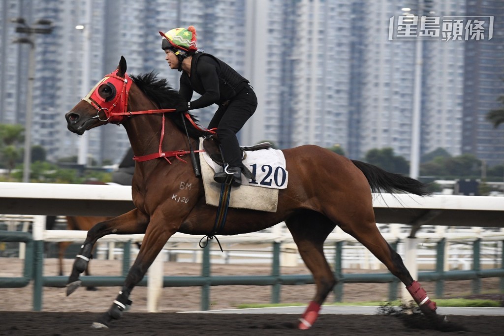 「扬威四海」在港七战，虽然暂时表现平平，但周三晚初次降五班，对手比之前弱，或有力交出水准。