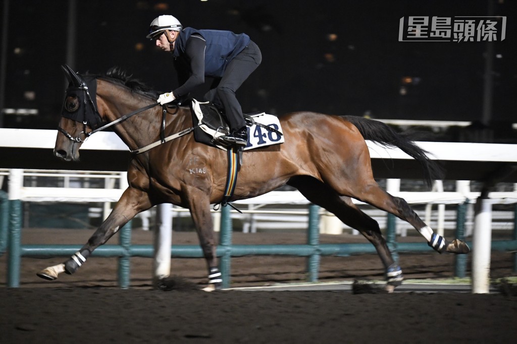 艾道拿今季成績大跌，騎者有甚麼諗法不得而知，不過對今戰「增旺」(圖) 高度重視是肯定之事。