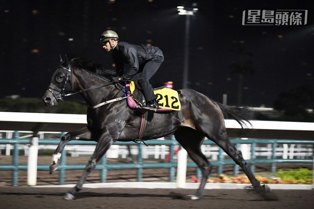 由於班德禮停賽中，「禪勝輝煌」早前已由希威森過檔。