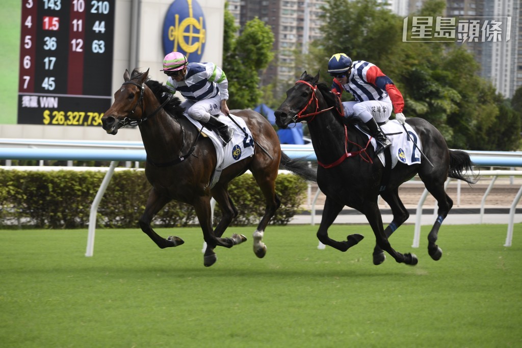 周日「包裝」系的「包裝戰將」(圖) 及「包裝創新」分別出戰第三及六場，且看能否為李文斌和其太太何芷韻帶來頭馬喜悅。
