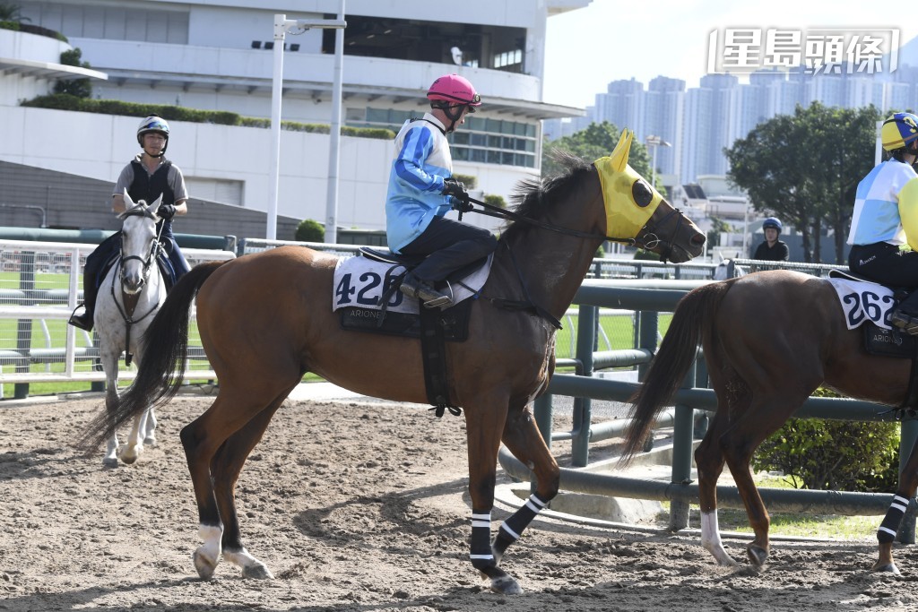 開鑼日潘頓將騎「嘉應高昇」、「舉步生風」、「燈胆將軍」、「錶之星河」、「金金小子」、「中國心」、「高感」、「三叉戟」(圖) 及「桃花多」等九駒。
