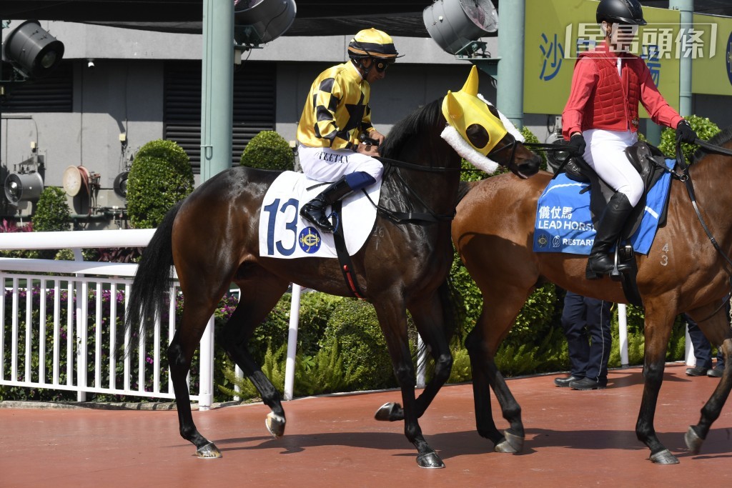 「威力非凡」(圖) 在港六戰，上場跑第四名，初次有獎金收，走勢比之前更接近，今場再出，或有更接近的演出。