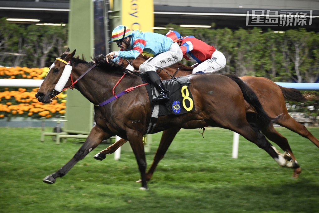 「翠儿威威」(图) 近两仗以机动跑法连胜，今战成绩如何？